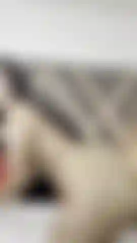 sensual pose, doggy style, wet my pussy