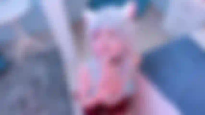 I like to fulfill your fantasies!!