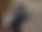 Chav in tights making fun of your fetish. You have a thing for common sluts like me, such an embarrassing fetish but you can't help it. You love fucking cheap trashy whores wearing tights.