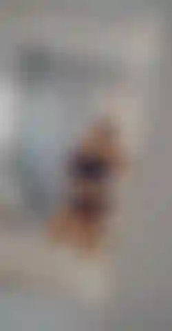 When she is thicc and got a big booty