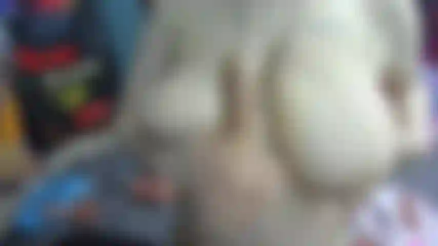 Titty fuck + dirty talk show preview.