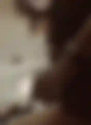 toy