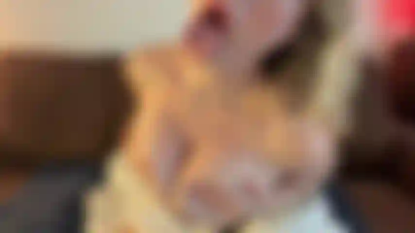 Bossy GF tells you how to stroke for her (teasing JOI, JOE, pussy fingering, soft-domme)