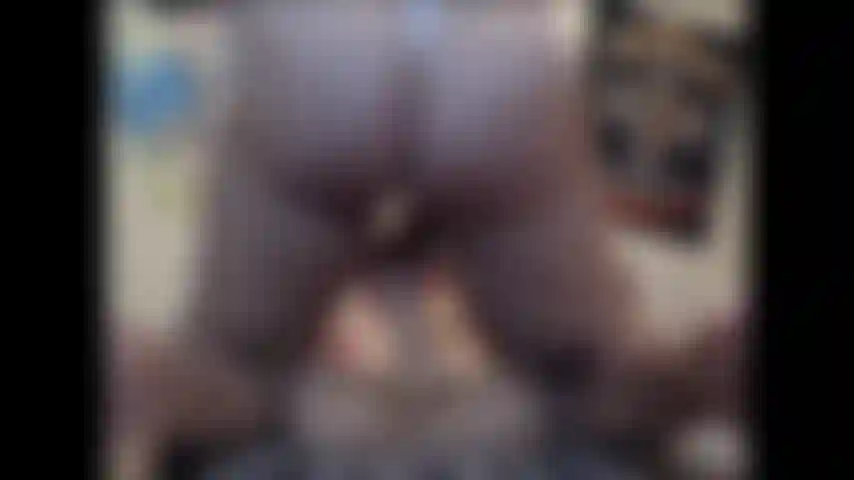 Sling Shot Ride- Custom video where I'm wearing a slingshot bikini, a gift from them, and riding my favorite toy Rocky until I cum. I never forget to lick him clean right after...not HD