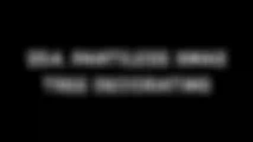 254. Pantiless Xmas Tree Decorating