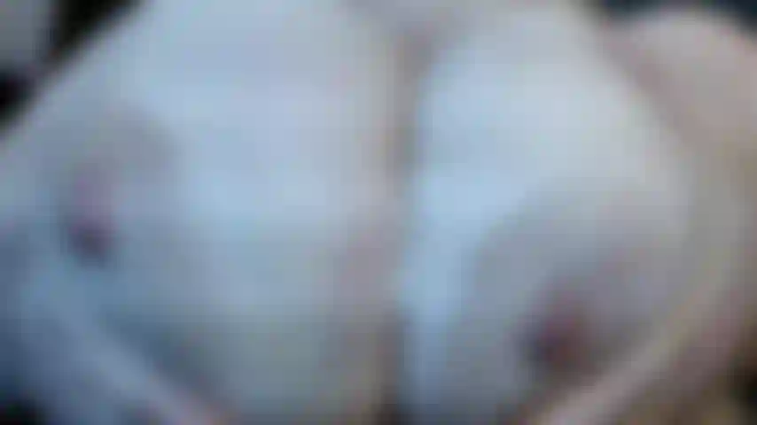 308. 	I dirty talk to you while showing you these massive natural milf titties with cum encouragement hot video for boob lovers!