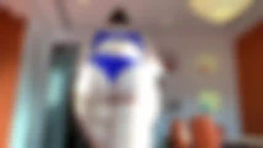 if you are an ass fan this video is for you