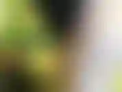 shaking my ass making it clap and just tease you with it will make u cum so hard