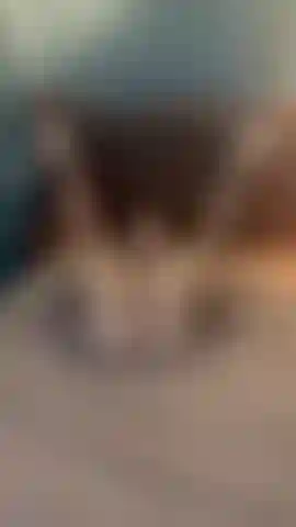 try my ass