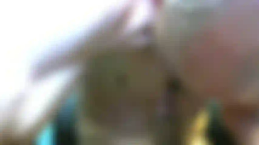 Licking And Pumping This Long Cock