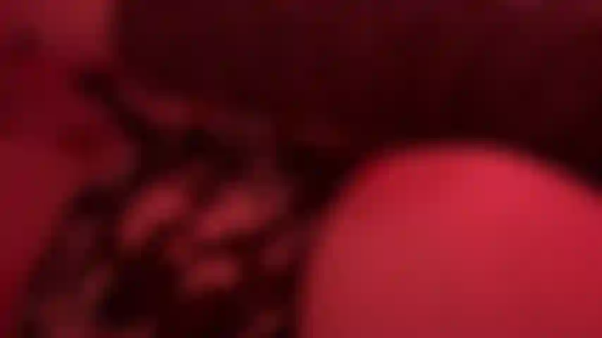 Video of me playing with myself in bed, sexy lighting, close up.