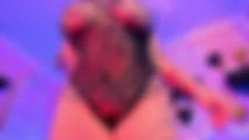 Tight body and big boobs.