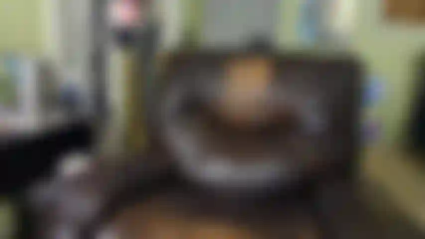 Sticking My Lovense Vibrator In My Booty Hole