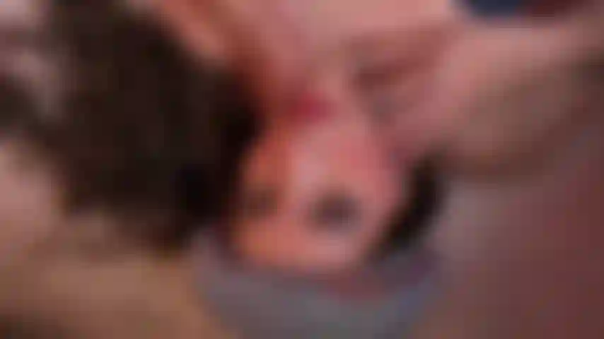 Teasing, video hd! Let's play!!!