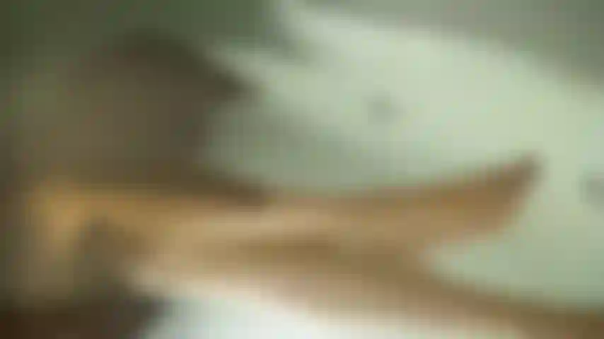 Passion speaks in whispered promises