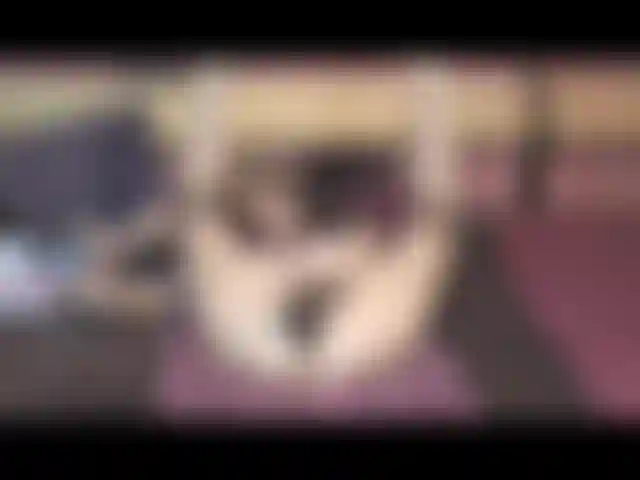 Part two of my naughty role play toy gang bang fun! On my back, doggie style, riding, etc.