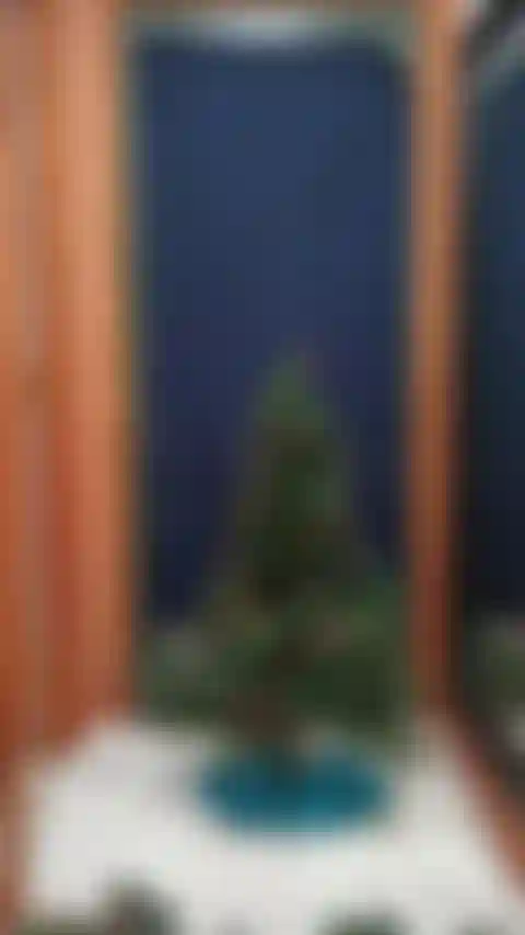 Xmas tree decorating