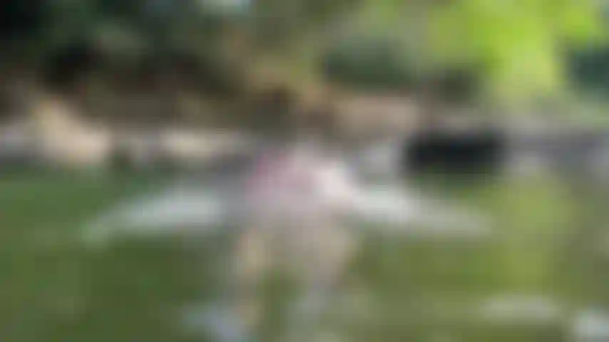 Spy me swimming naked