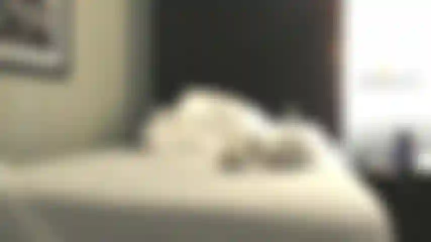 Sushi in a hotel room