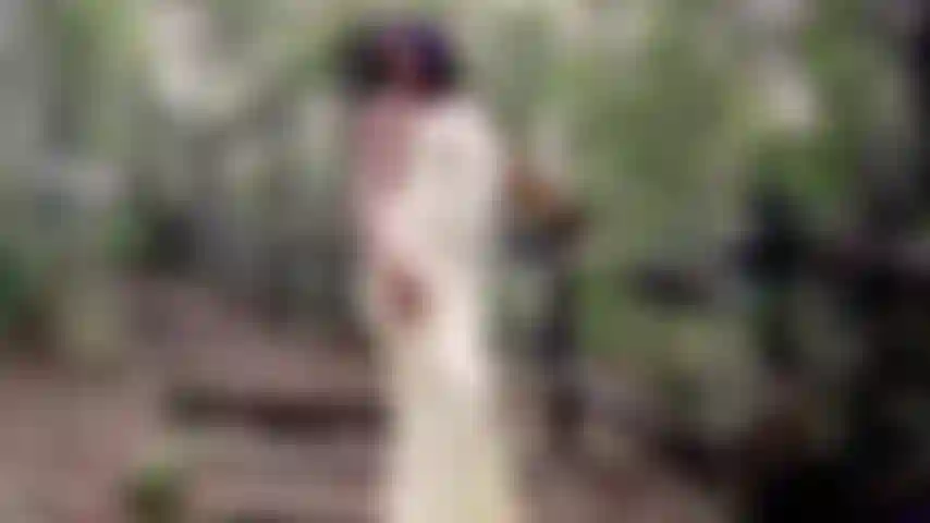 Let's get lost together in the magical forest