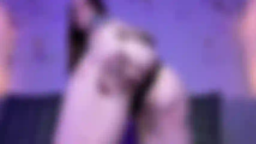 Ass Worship Edge Reel