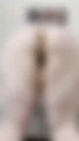 Minute and a Half Ass Clapping