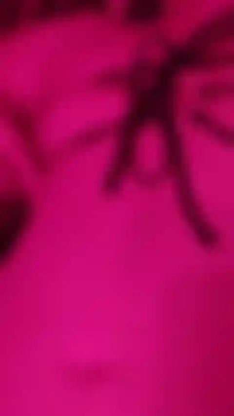 Nipple tease for you in new bikini