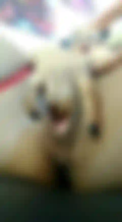 Fingering Pussy Close Up