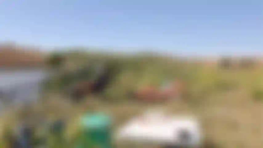 outdoor punishment, bondage, embarrassed naked woman