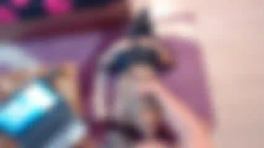 pov sloppy facefuck,cum in mouth