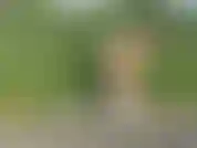 Posing Naked in the fields of IRELAND