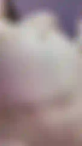 MIK BIG BELLY PREGNANT, VIDEO HOT
