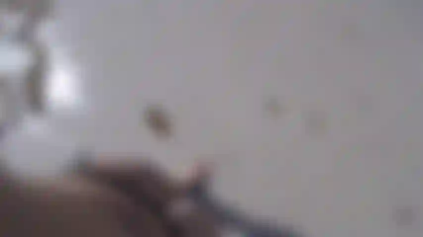 My feet in the carabs for my feetfetish.