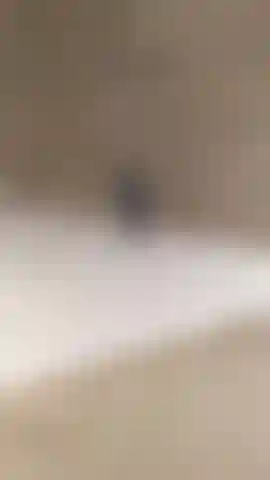 Doggystyle in the shower i wash and caress my pussy. Pussy and anus close-up for you.