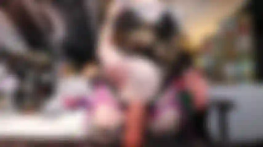 Goth girlfriend Pegs you