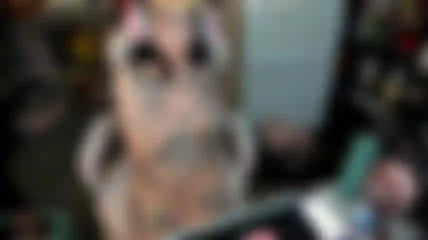 Gamer Girl Masturbates for you and gives messy BJ