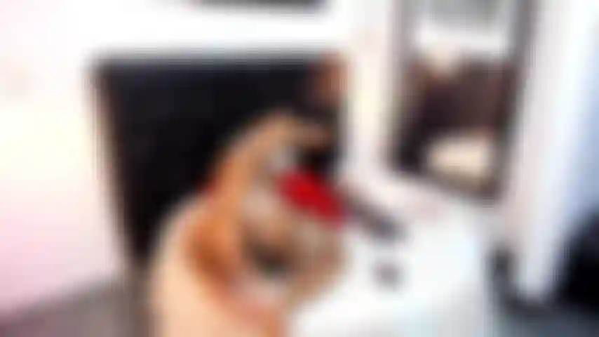 ANAL SHOW!! YOUR FAVORITE BOOTY