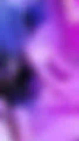 miaouuuu