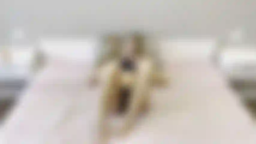 Solo 1/08/2023.Love to see how i play with my dildo and get that pussy super creamy?